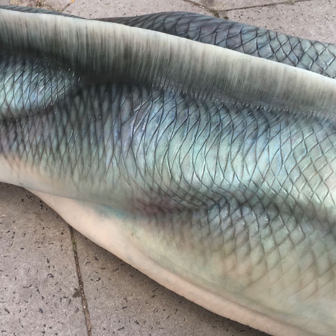 Blue My Mind Schuppen