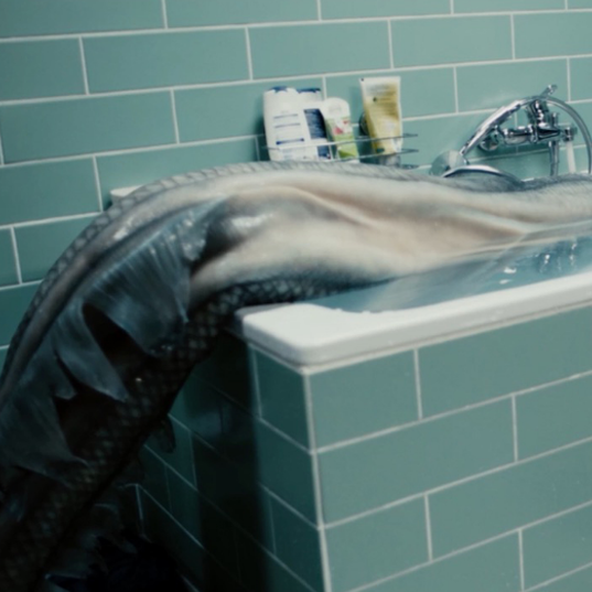 Blue My Mind Fischschwanz